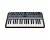 Modal Electronics ARGON8 Wavetable Synthesiser