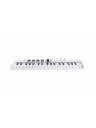 Arturia MiniLAB MK3 37-Key Controller - White