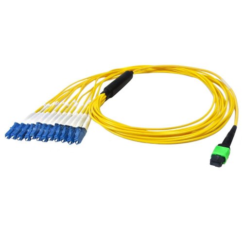 AVShop 12-Fiber Singlemode MPO/APC Female to 12x LC/UPC - 1M