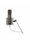 Warm Audio WA-87 R2 TS Condenser Mics - Titanium Stereo Pair