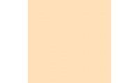 Rosco Roscolux 08 Pale Gold Gel Sheet