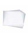 Reloop Premium 12in Vinyl LP Outer Sleeves (100-Pack)