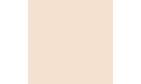 Rosco E-Colour+ 188 Cosmetic Highlight Gel Sheet