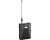 Shure QLXD1 Wireless Bodypack Transmitter (Freq: H50)