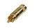 Rean NYS352AG RCA Plug (Gold)