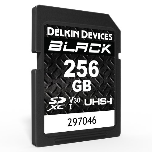 Delkin Devices BLACK UHS-I Rugged SD Card (256 GB)