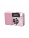 Amaran Ace 25c Full Colour Compact LED Light Creator Kit - Pink