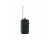 Shure P3R Wireless Bodypack Receiver for PSM 300 System (Freq: G20)