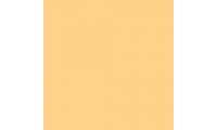Rosco E-Colour+ 009 Pale Amber Gold Gel Sheet