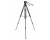 Davis & Sanford Provista 7518B Tripod with V18 Fluid Head