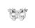 Chauvet DJ CLP-25N Heavy Duty Narrow Swivel Coupler Truss Clamp