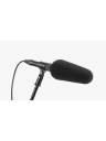 DPA 2017 Shotgun Microphone