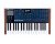 Korg multi/poly 37-Key Virtual Analog Modeling Synthesizer