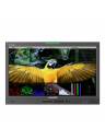 Lilliput Q24 23.6in 12G-SDI Production Studio Monitor (Gold Mount)