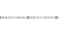 ENTTEC 24V Constant Voltage RGB LED Strip - 10 Meter