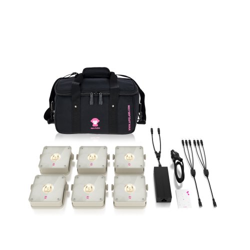 Ape Labs Mini 2.0 IP - Creme RoadPack (6pc)