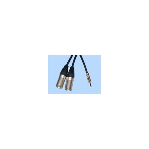 BRTB Player 1/8in to Dual XLR Male