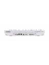 Korg KingKORG NEO 37-Key Virtual Analog Synthesizer