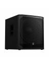 Electro-Voice EVIVA 18in 2-Way Portable Powered Subwoofer