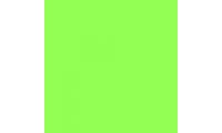 Rosco E-Colour+ 121 Leaf Green Gel Sheet