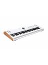 Arturia AstroLab 61-Key Stage Keyboard