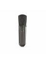 Warm Audio WA-87 R2 TS Condenser Mics - Titanium Stereo Pair