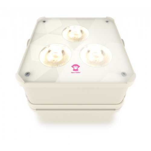 Ape Labs Maxi 2.0 IP - Creme Solo