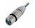 Neutrik NA2FP XLR Female to Mono 1/4in Adapter