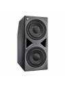 Neumann KH 870 II 2x10in DSP-Controlled Powered Subwoofer