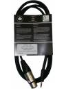 BRTB Player 1/8in Male to XLR Female