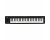 Korg microKey2 49 Compact MIDI Keyboard
