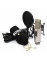 RODE NT2-A NT2-A Multi-Pattern Large-Diaphragm Condenser Microphone