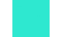 Rosco E-Colour+ 219 Fluorescent Green Gel Sheet