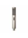 Royer Labs R12 Active Ribbon Studio Microphone