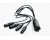 Sound Tools CAT Tails Send/Receive Modular Stage Snake - XLR Female-In+Male-Out