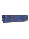 AJA openGear Dual 1x4 12G-SDI Distribution Amplifier