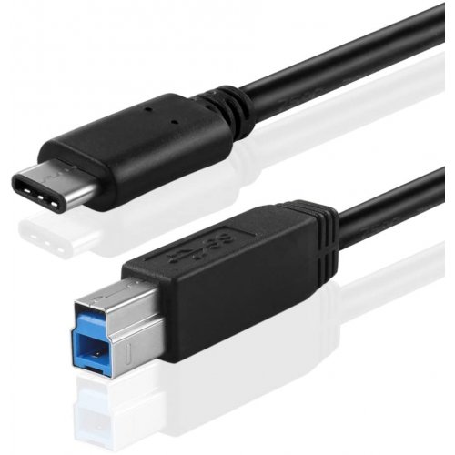 AVShop USB 3.1 Type-C Male to B Male Cable - 6ft