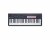 Novation FLkey 49 MK2 MIDI Keyboard for FL Studio