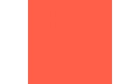 Rosco E-Colour+ 008 Dark Salmon Gel Sheet