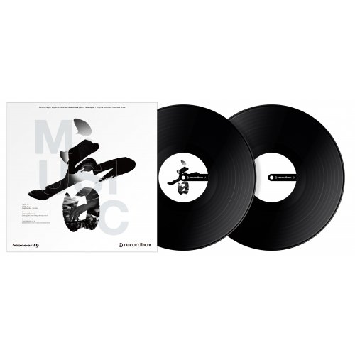 Pioneer DJ RB-VD2 rekordbox Control Vinyl (Pair) - Black
