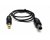 AVShop Cable for Everse8 to use Shure or Sennheiser Mics