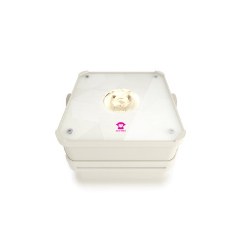 Ape Labs Mini 2.0 IP - Creme Solo